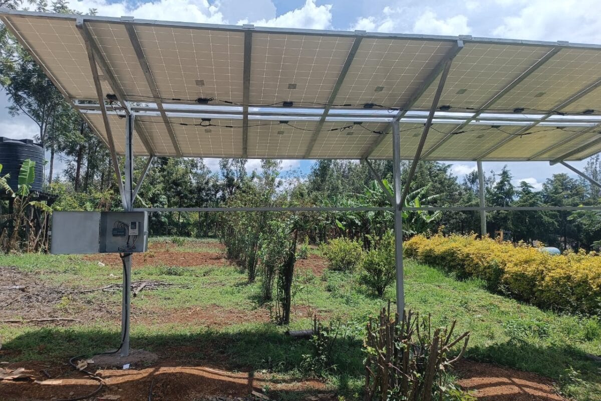 Bluewater Wells Limited