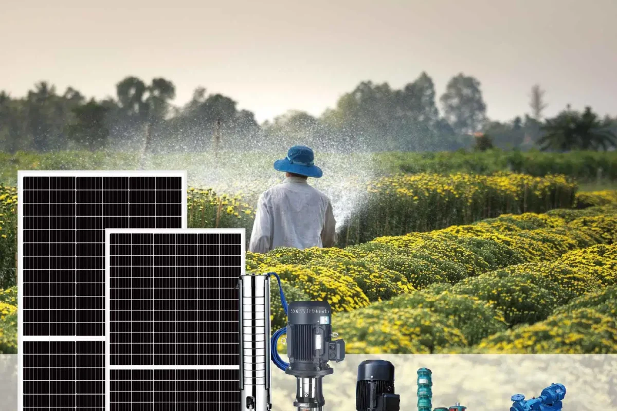 Bluewater Wells Limited